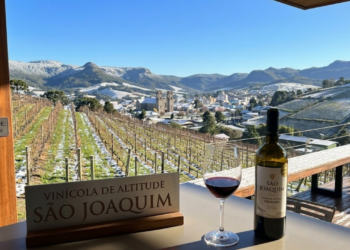 A cidade mais fria do Brasil já registrou −10 °C a 1.360 metros e hoje brilha com vinhos premiados em Santa Catarina