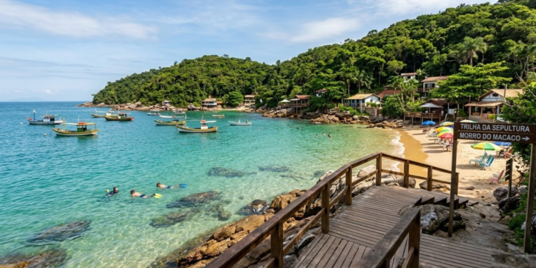 Com águas transparentes e rica vida marinha, a Capital do Mergulho Ecológico em SC atrai visitantes e amantes da natureza