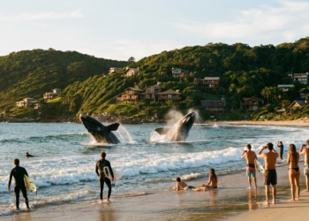 Única praia brasileira entre as baías mais belas do mundo, essa joia exibe baleias a poucos metros da areia