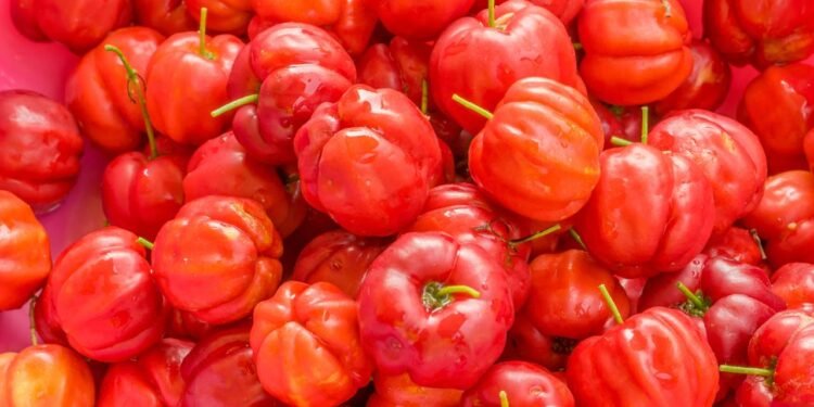 A fruta brasileira que tem até 20x mais vitamina C que a laranja e pode ser cultivada facilmente em vasos