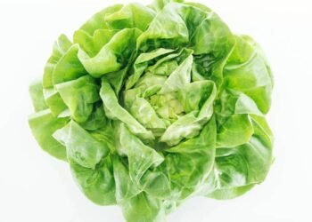 A folha mais poderosa para sono profundo e digestão leve