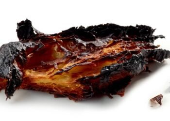 O alerta sobre alimentos queimados que pode impactar sua saúde a longo prazo