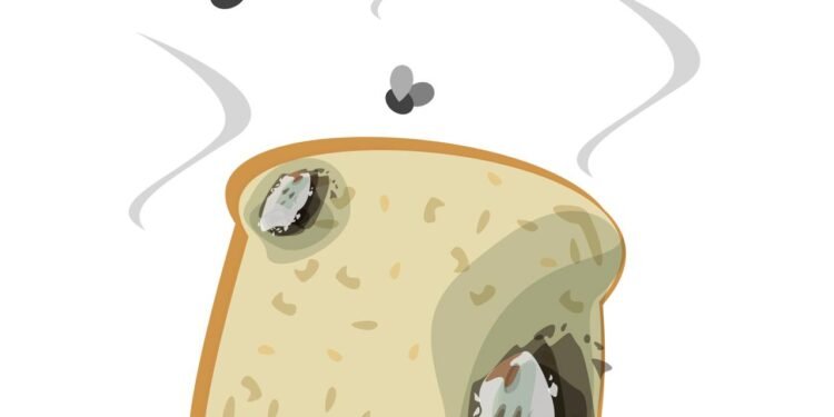 Alguns alimentos podem durar muito além da validade e poucos sabem -Créditos: depositphotos.com / ImLucky