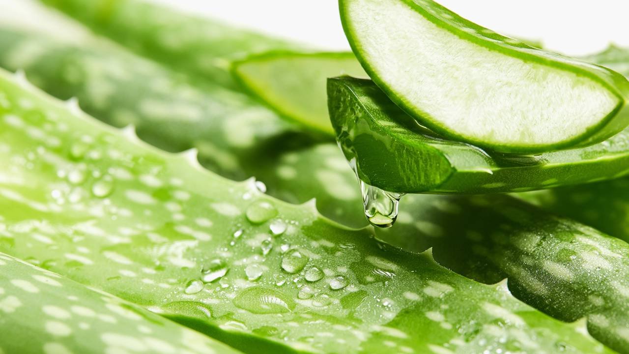 Esta mistura de aloe vera e água de coco é perfeita para acalmar a pele após o sol