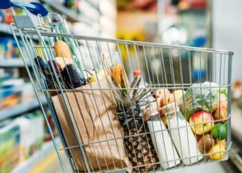 Poucos sabem para que servem os buracos nos carrinhos de supermercado