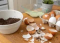 Como usar cascas de ovo para fazer o fertilizante mais potente do mundo