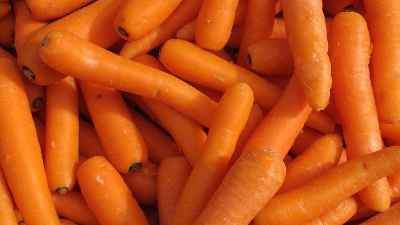 O vegetal alaranjado que ajuda na saúde dos olhos, da pele e fortalece o sistema imunológico