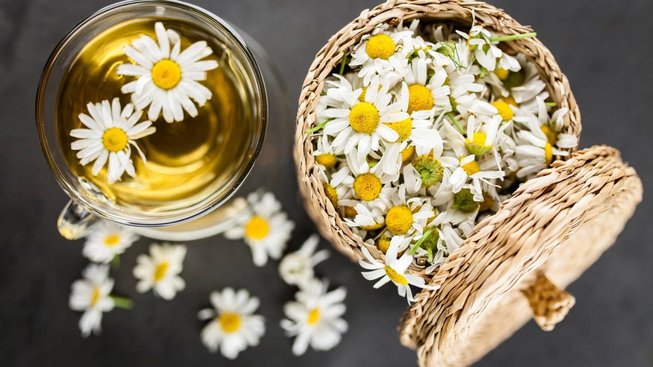 O chá calmante que ajuda a reduzir o estresse do dia a dia e melhorar a qualidade do sono naturalmente
