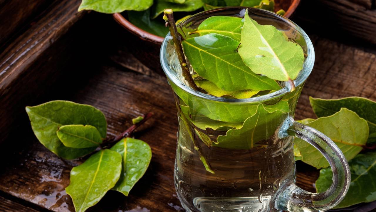 Benefícios do chá de louro para aliviar o inchaço abdominal noturno