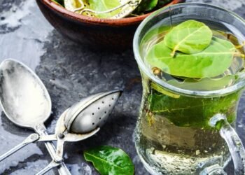 Benefícios do chá de louro para aliviar o inchaço abdominal noturno