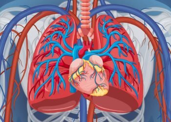 O que significa misturar Red Bull com álcool, por que essa combinação engana seu corpo