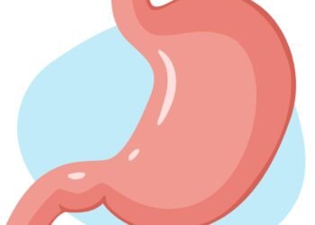 O pedaço dessa raiz ardida no suco matinal blinda o estômago e afasta inflamações silenciosas