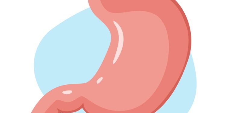 O pedaço dessa raiz ardida no suco matinal blinda o estômago e afasta inflamações silenciosas