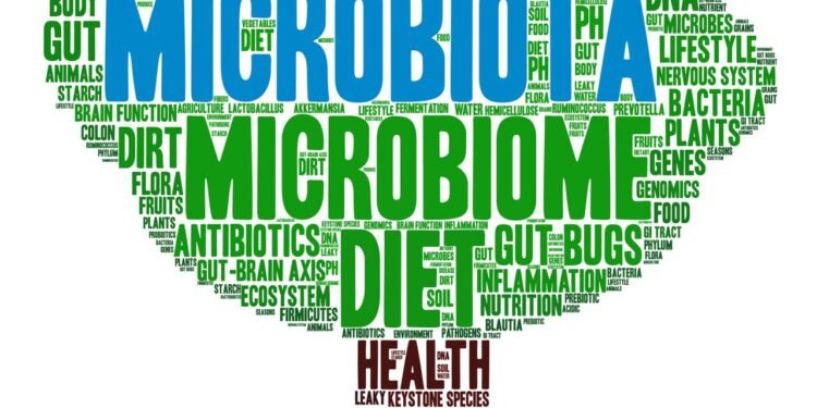 Como as fibras podem transformar a saúde intestinal e reduzir inflamações silenciosas - Créditos: depositphotos.com / arloo