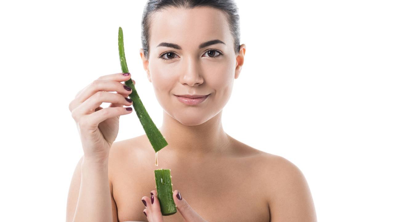 O vegetal pouco conhecido que ajuda a regular o intestino, melhora a digestão e reduz o desconforto abdominal