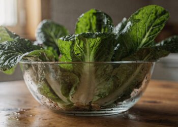Essa folha amarga presente em muitas saladas pode ajudar a melhorar a digestão e reduzir o estufamento