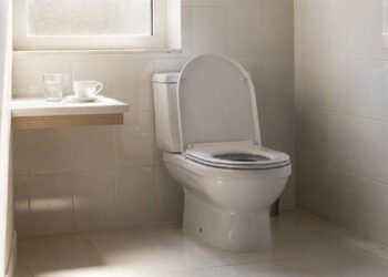 Quantas vezes é saudável ir ao banheiro pela manhã?