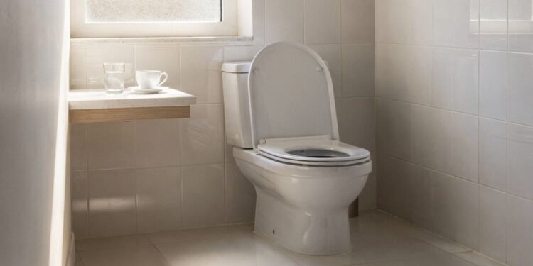 Quantas vezes é saudável ir ao banheiro pela manhã?