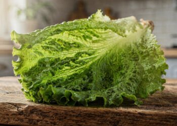 Essa folha crocante e leve pode ajudar na digestão e ainda contribuir para a hidratação do corpo