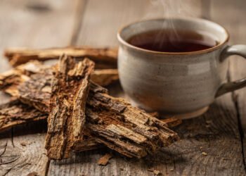 A planta muito usada no interior usada para cuidar de feridas ainda chama atenção hoje