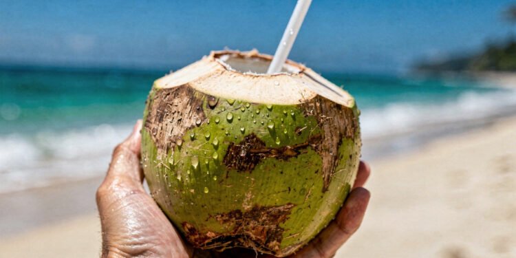 A bebida natural que muita gente toma no calor pode ajudar a hidratar e dar energia ao corpo