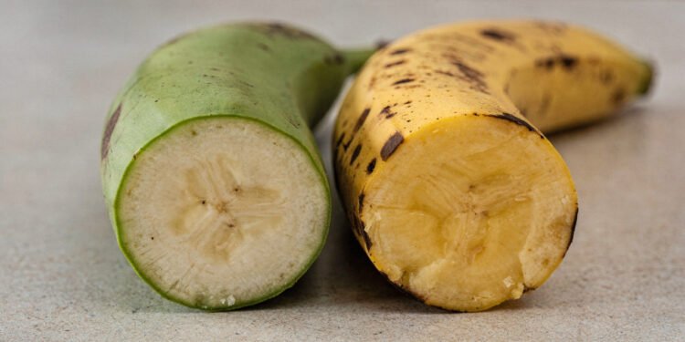 Banana verde ou madura, entenda qual delas pode elevar mais o açúcar no sangue