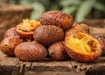 Essa fruta alaranjada do interior tem tanta vitamina A que muita gente passou a usá-la para cuidar da visão