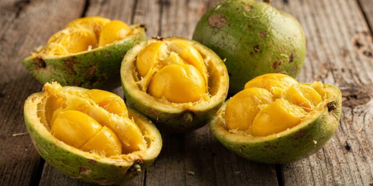 O fruto típico do Cerrado que fortalece a imunidade, melhora a digestão e ainda nutre o corpo