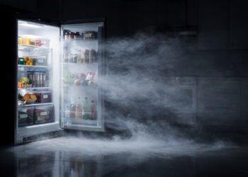 Regra dos 5 minutos: o erro ao abrir a geladeira que aumenta o consumo de energia