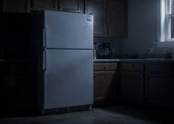 O que são os estalos que a geladeira faz durante a noite?