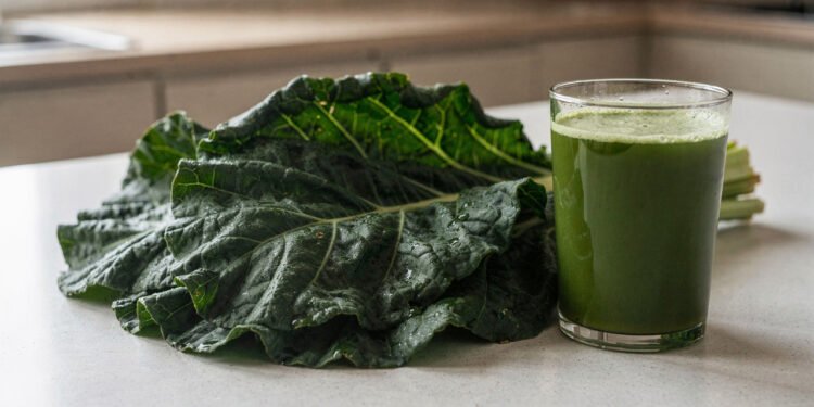 A folha verde que muita gente usa em sucos também pode ser plantada em casa com facilidade