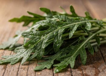 A folha verde picante que pode apoiar a circulação e ainda cresce rápido na sua horta