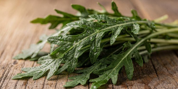 A folha verde picante que pode apoiar a circulação e ainda cresce rápido na sua horta