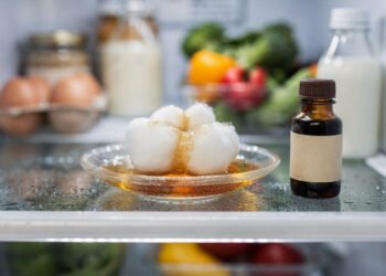 O ingrediente secreto da confeitaria que neutraliza os odores fortes e deixa a geladeira com cheiro de limpeza