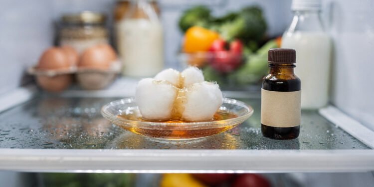 O ingrediente secreto da confeitaria que neutraliza os odores fortes e deixa a geladeira com cheiro de limpeza