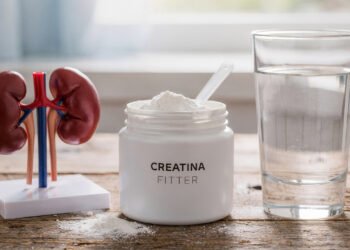 O que acontece nos rins quando se toma creatina