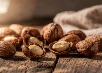 Essa castanha brasileira pequena no tamanho pode trazer grandes benefícios para o coração