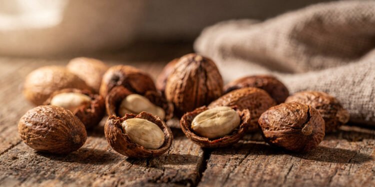 Essa castanha brasileira pequena no tamanho pode trazer grandes benefícios para o coração