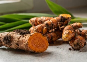 Esse tempero amarelinho tão comum no arroz pode ser plantado no quintal e é conhecido por ajudar o fígado