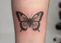 O verdadeiro significado da tatuagem de borboleta