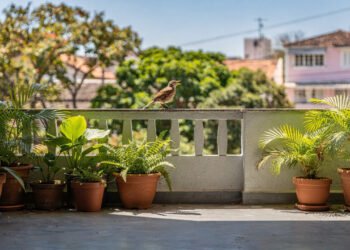 O que significa ouvir pássaros cantando durante o dia em casa?