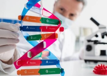 Como a nutrigenômica pode ajudar a personalizar dietas