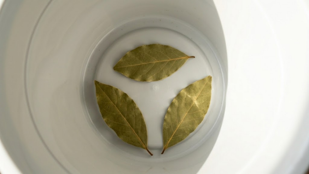 POV: Macro de folhas secas de louro no fundo de uma lixeira plástica limpa