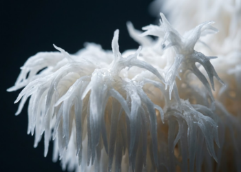 Macro detalhado das fibras do fungo lembrando conexões neurais humanas.