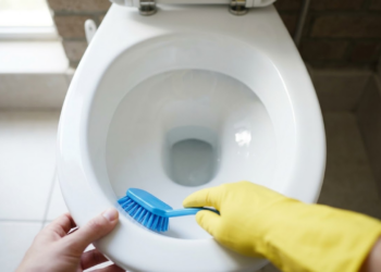 Visão em primeira pessoa esfregando o vaso sanitário com escova.