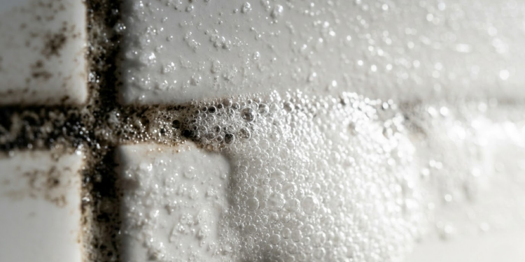 Macro da reação efervescente limpando o rejunte encardido.