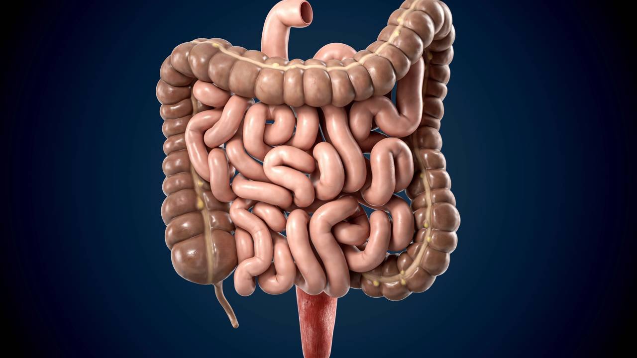 Sinais silenciosos de que seu intestino pode estar desregulado mesmo sem problemas digestivos aparentes