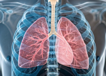 Por que o lado esquerdo do seu pulmão é menor que o direito?