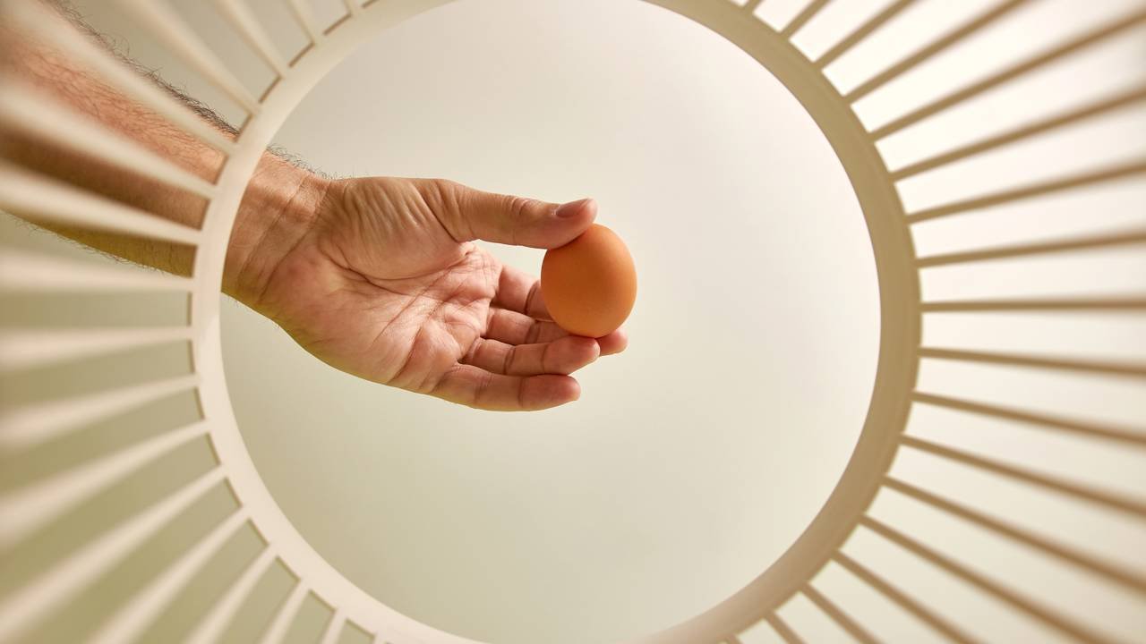 Como saber se um ovo está estragado sem precisar quebrá-lo nunca