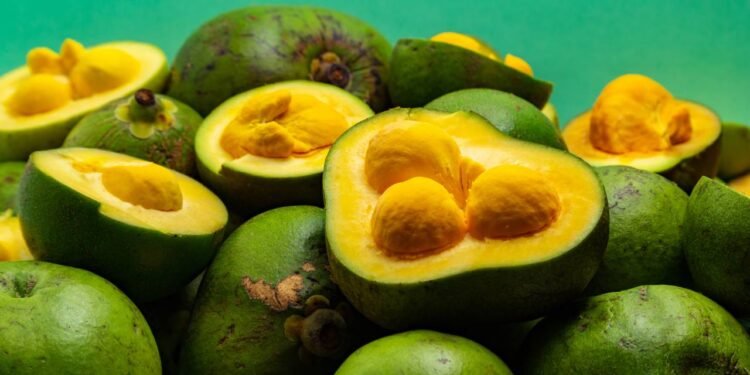 A fruta tropical rica em vitamina C e antioxidantes que cresce em uma árvore símbolo do Cerrado brasileiro